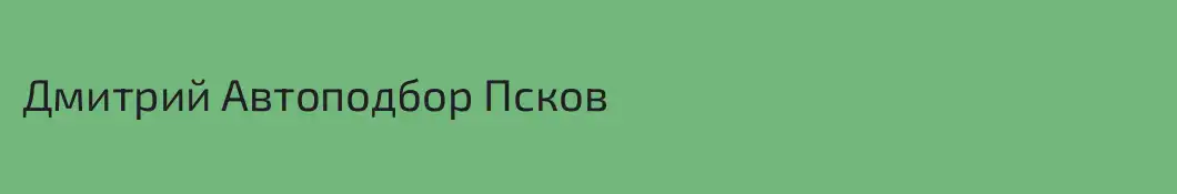Дмитрий Автоподбор Псков